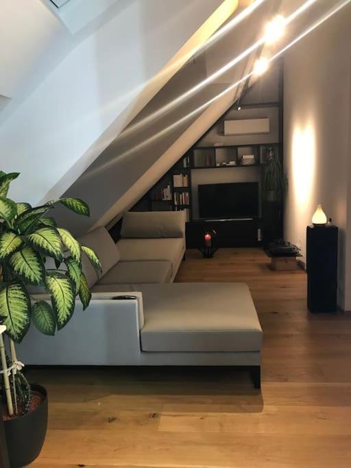Grosszuegiges Dachterrassen-Appartment Mit Klimaanlage Und Wunderbarem Ausblick Wien Exterior foto